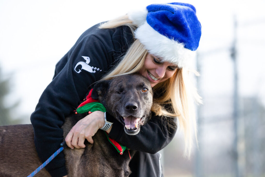 One of the dogs up for adoption being held by Melody C from COMDA.